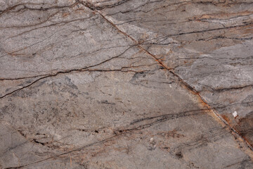Silver Roots Marble background, texture in stylish colors for your home interior.