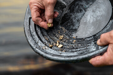 Elderly man's hands holding gold sand, small pieces of gold nuggets. Gold sand panning from placer...