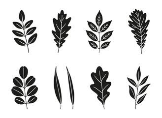 Set of autumn leaves oak, acacia, ash, and willow. Black textured silhouettes on a white background. Fall, spring, or summer collection foliage. Vector illustration