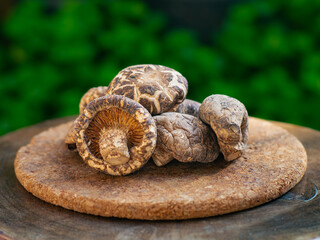Group of fresh shiitake mushrooms arranged on a rustic cork tray with natural outdoor lighting. Perfect for culinary, organic food, and farm-to-table concepts.