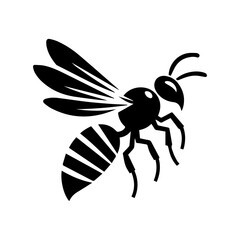 black Wasp on white background