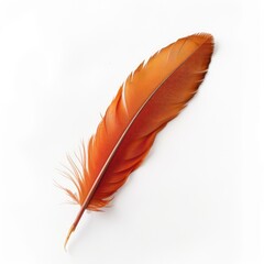 Single, vibrant orange feather against white background