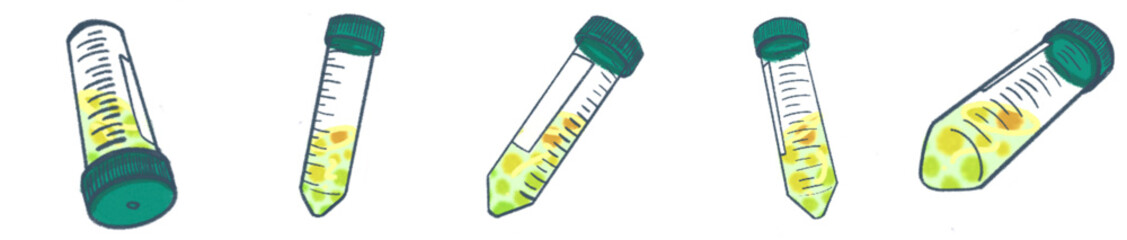 Transparent laboratory centrifuge tubes standing upright in rows, plastic sample vials for scientific research and chemical analysis