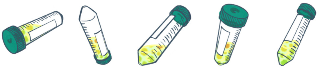 Transparent laboratory centrifuge tubes standing upright in rows, plastic sample vials for scientific research and chemical analysis