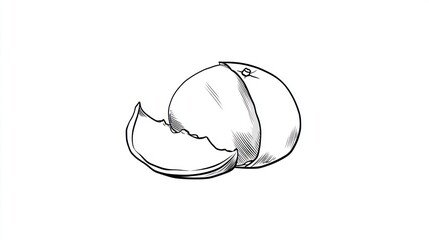 Simple sketch of a sliced citrus fruit