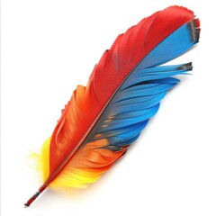 Vibrant, colorful bird feather against white