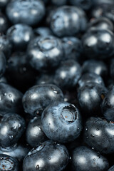 Vertical berry background of fresh blueberries with water droplets
