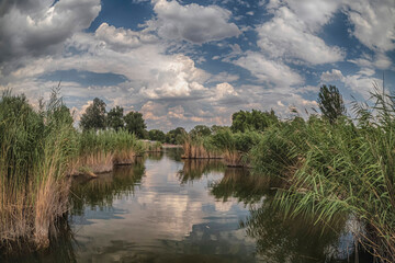 Fototapeta premium lake and clouds