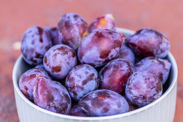 Fresh Plums in a White Bowl Close-up View