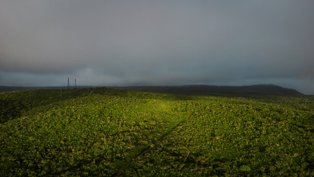 Luftaufnahme des tropischen Regenwaldes in den Bergen von Mauritius bei Sonnenuntergang