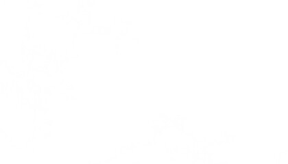 Realistic white clouds fog overlay isolated on the transparent background