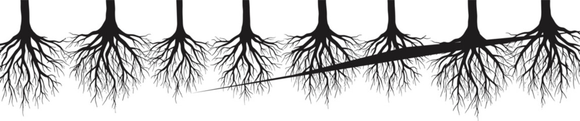 Tree roots silhouette vector illustration, underground root system design, organic nature element, perfect for botanical, ecology, or forest concept artworks