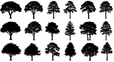 A collection of tree silhouettes isolated on white background, showcasing various shapes and forms of natures design elements for artistic and graphic use