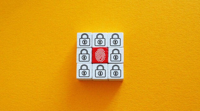 Fingerprint and padlock symbolizing online security and biometric authentication.
