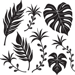 Elegant black botanical elements create a natural, organic design aesthetic