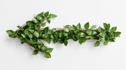 Obraz premium Green arrow of intertwined vines
