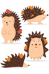 Set of Cute Cartoon Hedgehogs with Autumn Leaves

. Stylized Forest Hedgehog Animals