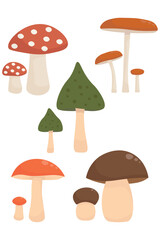Set of Various Forest Mushrooms Flat Design. Assortment of Toadstools and Fungi Graphic