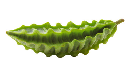 Naklejka premium A close-up view of a unique and intricate green seed pod, showcasing its fascinating texture and form