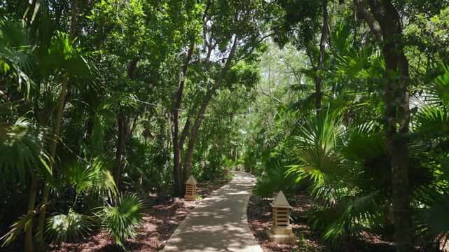Immerse yourself in the serenity and tranquility that this scenic walking path offers, surrounded by natures vibrant greenery and majestic, towering trees in a breathtaking tropical paradise
