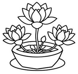 Blooming cactus and cyclamen floral decoration in a clay pot