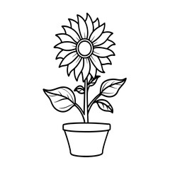 Pink flower blooming in a pot vector illustration