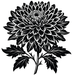 Black and white floral pattern vector seamless design with flowers leaves and vintage art elements background wallpaper