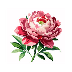 Pink lotus flower vector illustration with pink lily isolated on white background