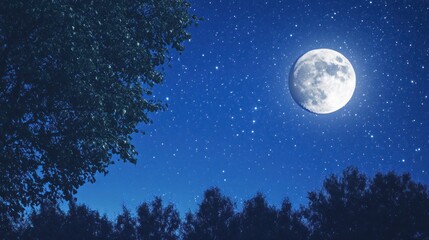 Fototapeta premium Full moon over a night forest