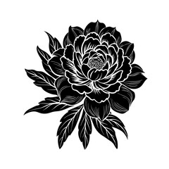 Fototapeta premium Black and white rose flower vector illustration with floral design and decorative elements
