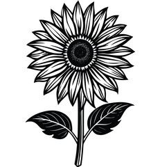 Vector art of black and white flowers, leaves, and vintage floral elements perfect for a seamless decoration pattern or design illustration