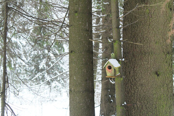 Tree house for birds in winter. Bird Help Close-Up