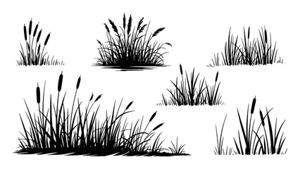 Black cattails and reeds silhouette collection grass plant