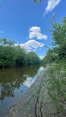 Forest River with Stone Bank