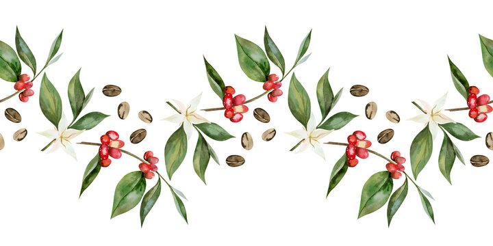 Watercolor coffee beans and branch with berries seamless border. The illustration botanical style hand drawn for menu, invitations, cards, packaging.