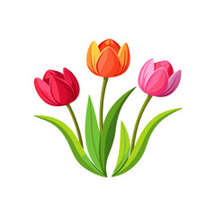 Bouquet of red and pink tulip flowers in spring garden bloom