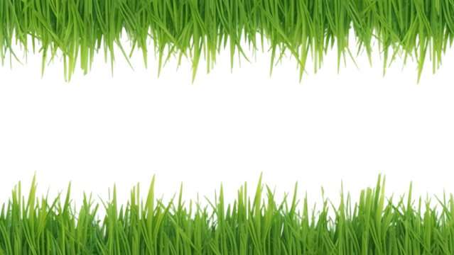 Fresh green grass borders offering a vibrant, natural touch for springtime designs and eco-friendly projects needing a burst of organic freshness