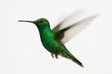 Green Hummingbird in Flight A Vibrant Jewel of the Air