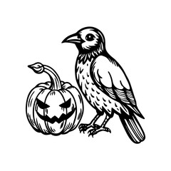 Black and white illustration of a crow standing beside a carved Halloween jack-o'-lantern.