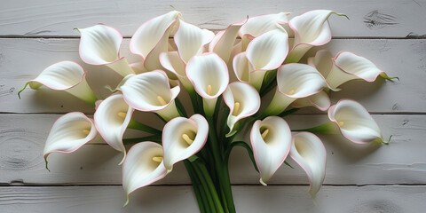 Elegant white calla lilies with delicate pink edges white flowers pink trim