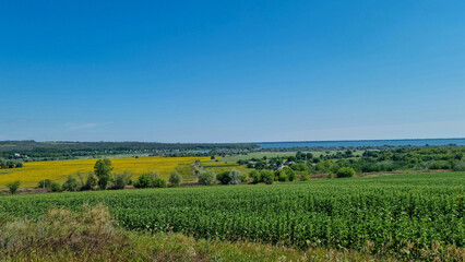 Wide view of green and yellow agricultural fields, scattered trees, and distant lake under blue sky. Landscape photography. Summer countryside and farming concept