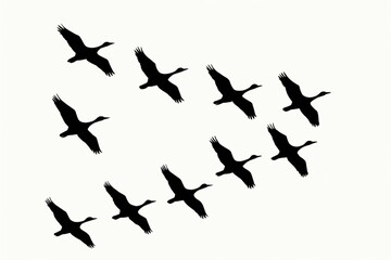 Silhouettes of a flock of geese flying in a V-formation, illustrating teamwork, leadership, and migration against an isolated white background