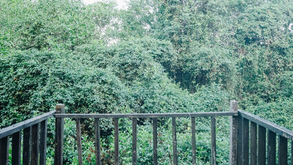 Fototapeta premium From the wooden balcony the view of the beautiful and simple landscape facing the dense forest