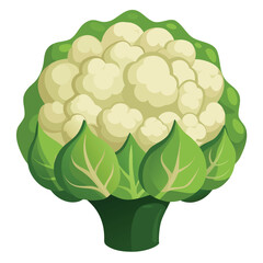 A head of cauliflower, its intricate florets visible, isolated on a clean white background, a healthy vegetable.