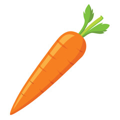 A long, orange carrot, its texture and shape clear, isolated on a clean white background, a fresh vegetable.