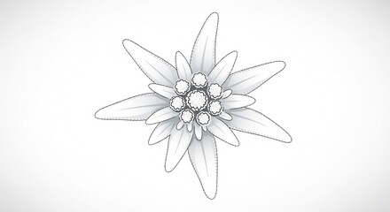 A stylized black and white line drawing of a single Edelweiss flower, isolated on a clean white background.