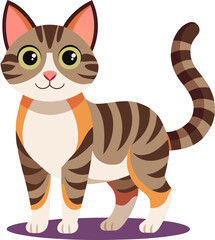 Fototapeta premium Domestic Shorthair cat