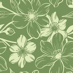 Floral illustration with delicate line art on a muted green backdrop