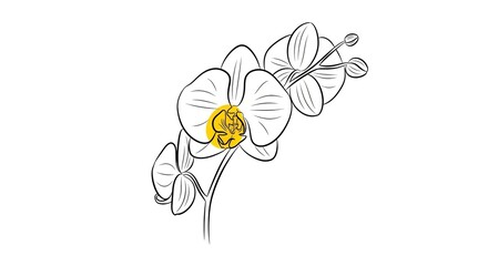 Elegant line art drawing of an orchid spray with a selective yellow color accent on a white background.