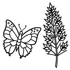 Butterfly Bush Redwood line art vector